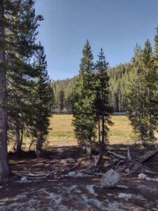 YosemiteAug2024-8 image from Yosemite Valley, summer 2024