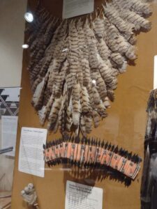 YosemiteAug2024-82 image from Yosemite Valley, summer 2024