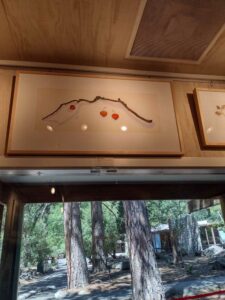 YosemiteAug2024-87 image from Yosemite Valley, summer 2024