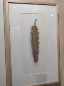 YosemiteAug2024-88 image from Yosemite Valley, summer 2024