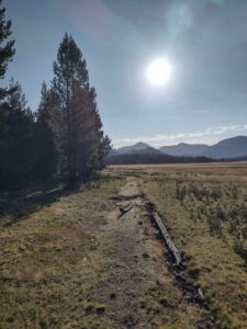 YosemiteAug2024-9 image from Yosemite Valley, summer 2024