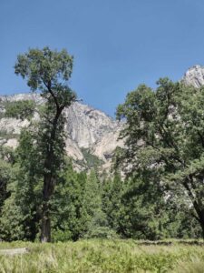 YosemiteAug2024-95 image from Yosemite Valley, summer 2024
