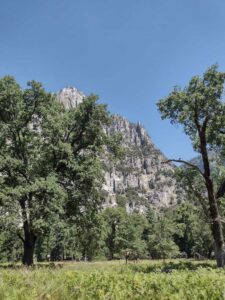 YosemiteAug2024-96 image from Yosemite Valley, summer 2024