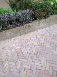 image from photodump of Netherlands July 2025