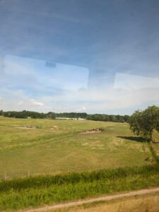 Image from Netherlands July 2025 photo dump