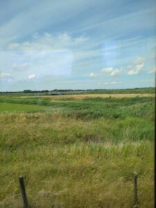 Image from Netherlands July 2025 photo dump