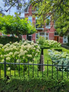 Image from Netherlands July 2025 photo dump