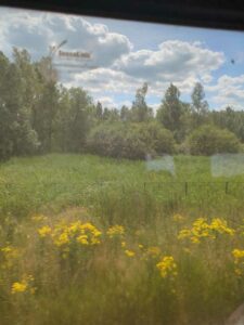 Image from Netherlands July 2025 photo dump