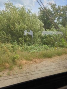 Image from Netherlands July 2025 photo dump