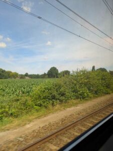 Image from Netherlands July 2025 photo dump