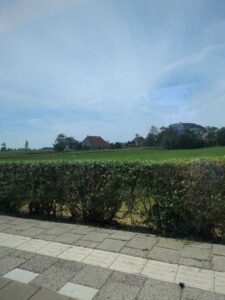 Image from Netherlands July 2025 photo dump