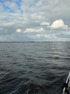 Image from Netherlands July 2025 photo dump