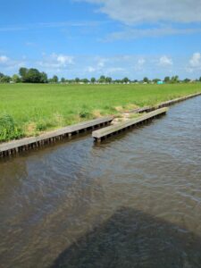 image from photodump of Netherlands July 2025