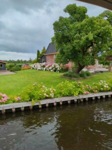 image from photodump of Netherlands July 2025