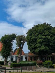 image from photodump of Netherlands July 2025