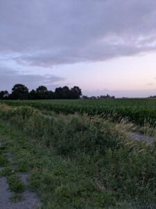 image from photodump of Netherlands July 2025