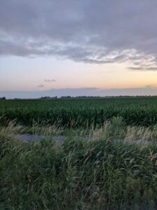 image from photodump of Netherlands July 2025