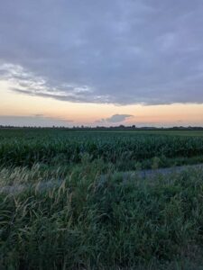 image from photodump of Netherlands July 2025