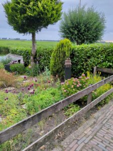 image from photodump of Netherlands July 2025