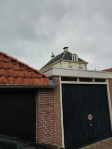 image from photodump of Netherlands July 2025