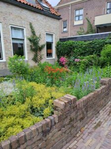 image from photodump of Netherlands July 2025