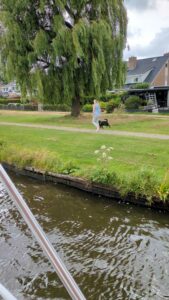 images from Netherlands photo dump early July