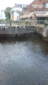 image from photodump of Netherlands July 2025