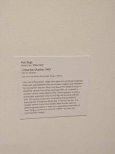 WorcesterArtMuseumJune2025-13 image from Worcester Museum of Art, Worcester MA