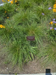 WorcesterArtMuseumJune2025-163 image from Worcester Museum of Art, Worcester MA