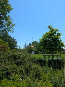 WorcesterArtMuseumJune2025-164 image from Worcester Museum of Art, Worcester MA