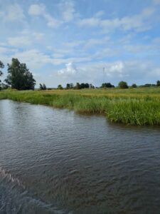 image from photodump of Netherlands July 2025