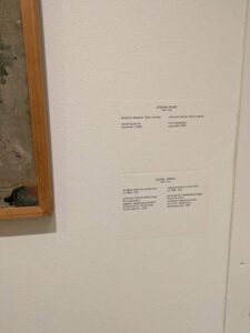 StedelijkMuseum-67 Image from the Stedelijk Museum in Amsterdam