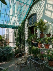 image from the Rams Woerthe Museumhuis in Steenwijk, Netherlands Aug 2025