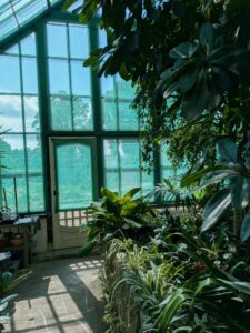 image from the Rams Woerthe Museumhuis in Steenwijk, Netherlands Aug 2025