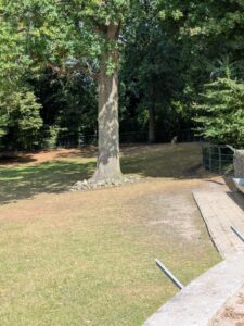 image from the Rams Woerthe Museumhuis in Steenwijk, Netherlands Aug 2025