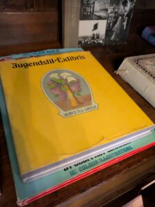 image from the Rams Woerthe Museumhuis in Steenwijk, Netherlands Aug 2025