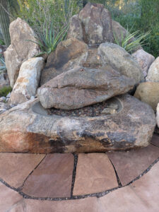 images from Desert Botanical Garden -Nov 2025