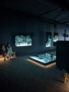 images from Desert Botanical Garden -Nov 2025