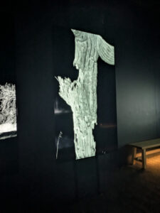 images from Desert Botanical Garden -Nov 2025