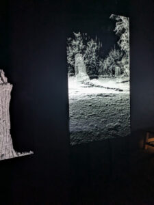 images from Desert Botanical Garden -Nov 2025