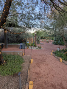 images from Desert Botanical Garden -Nov 2025