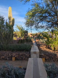 images from Desert Botanical Garden -Nov 2025