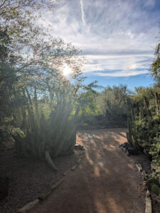 images from Desert Botanical Garden -Nov 2025