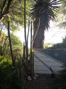 images from Desert Botanical Garden -Nov 2025