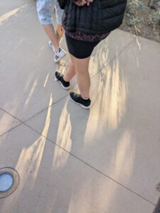 images from Desert Botanical Garden -Nov 2025