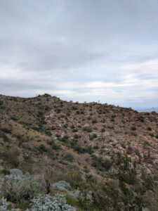 image from South Mountain Preserve in Phoenix AZ
