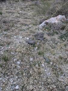 image from South Mountain Preserve in Phoenix AZ