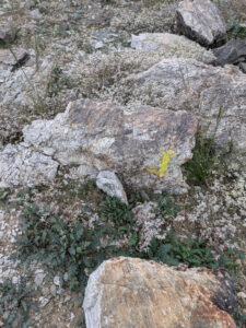 image from South Mountain Preserve in Phoenix AZ