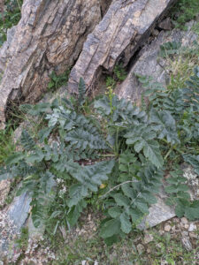image from South Mountain Preserve in Phoenix AZ