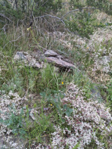image from South Mountain Preserve in Phoenix AZ